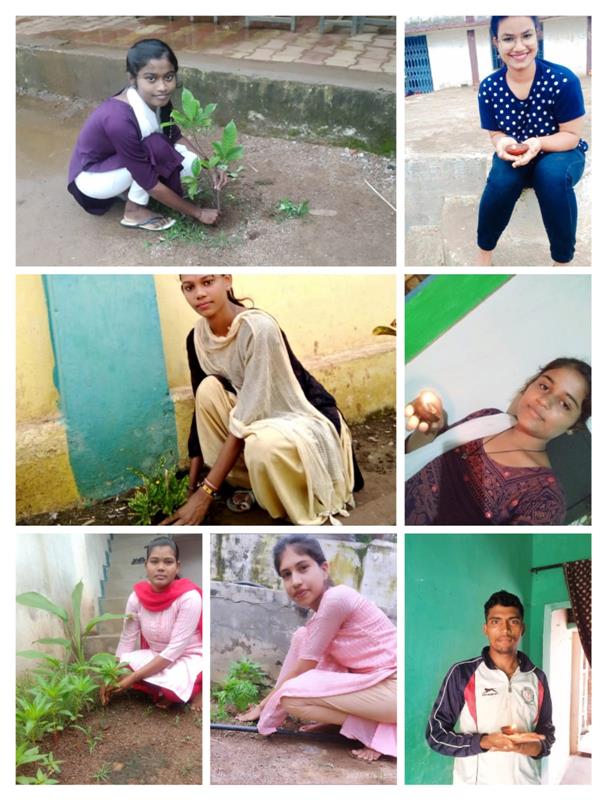 photo gallery